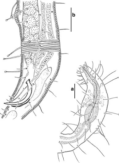 figure 23