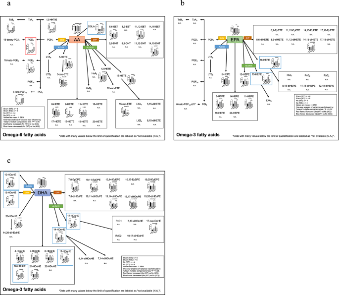 Deletion of Alox15 improves kidney dysfunction and inhibits 