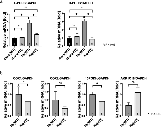 Deletion of Alox15 improves kidney dysfunction and inhibits 