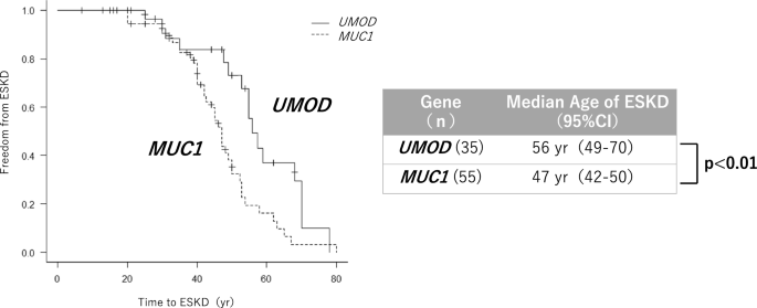 Phenotype and genotype of autosomal dominant tubulointerstitial kidney ...