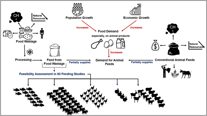 Food loss and food waste recovery as animal feed: a systematic review |  SpringerLink