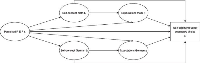 The longitudinal effect of perceived person-environment fit on academic ...