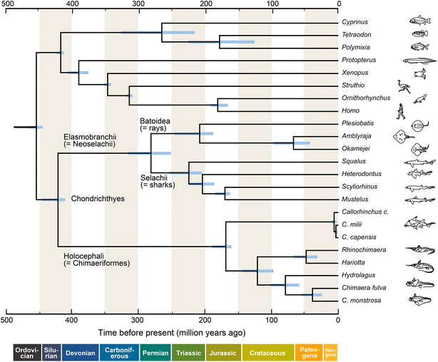 figure 36