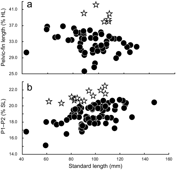 taxonomic status of nominal species of the anchovy genus stolephorus previously regarded as synonyms of stolephorus commersonnii lacepede 1803 and stolephorus indicus van hasselt 1823 and descriptions of three new species clupeiformes