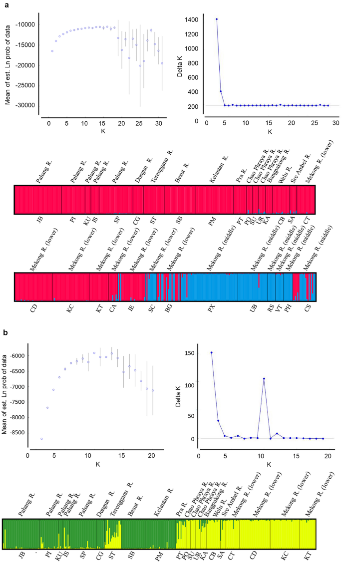 Genetic Diversity Of The Tire Track Eel Mastacembelus Favus In Southeast Asia Inferred From Microsatellite Markers Springerlink