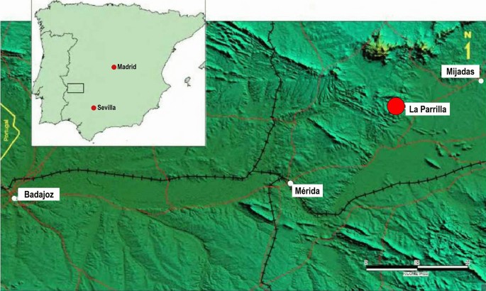 Design and Construction of a Tailings Dam over an Ancient Tailings Facility  at La Parrilla Mine | SpringerLink