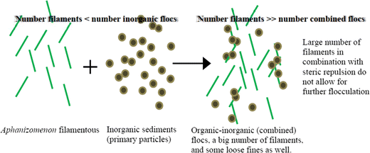 figure 24