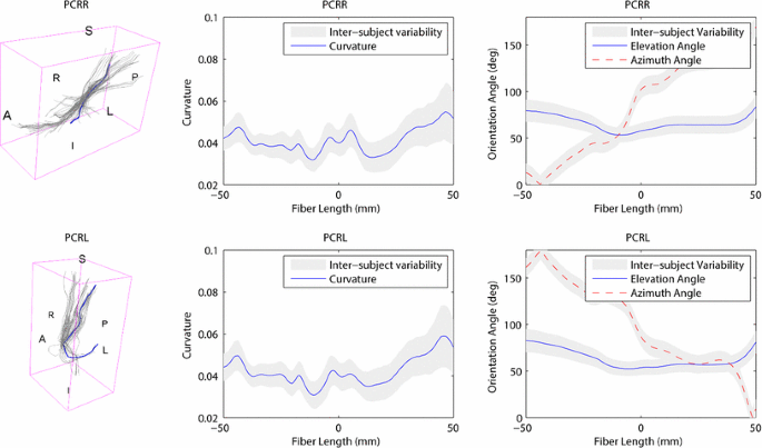 figure 24