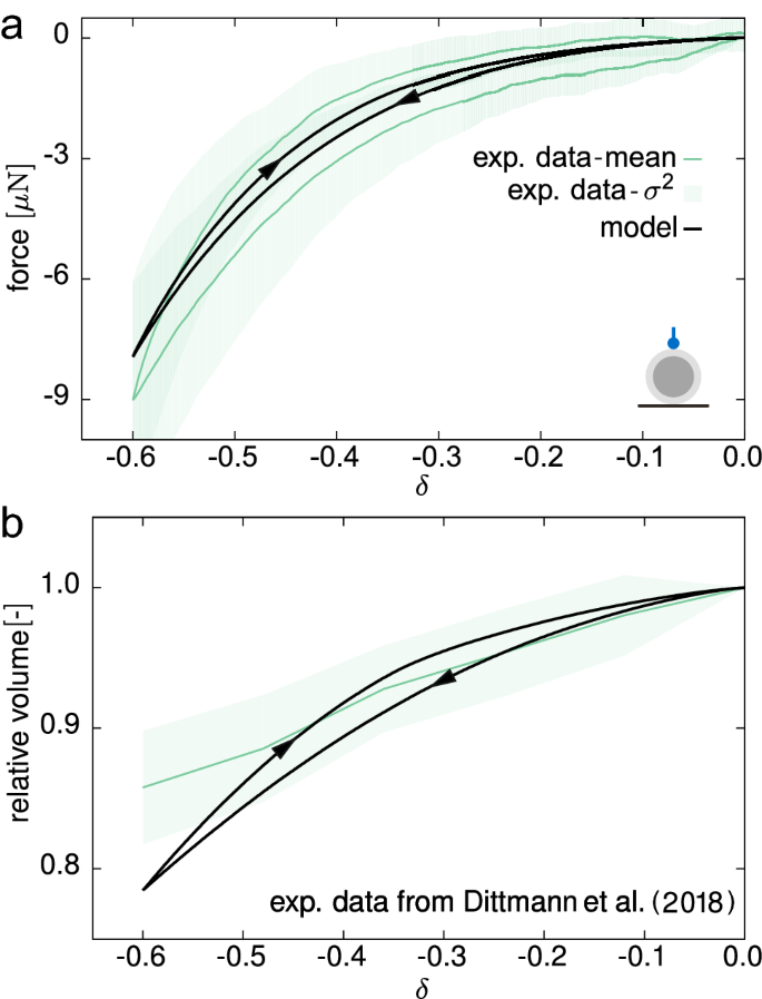 Visco And Poroelastic Contributions Of The Zona Pellucida To The Mechanical Response Of Oocytes Springerlink