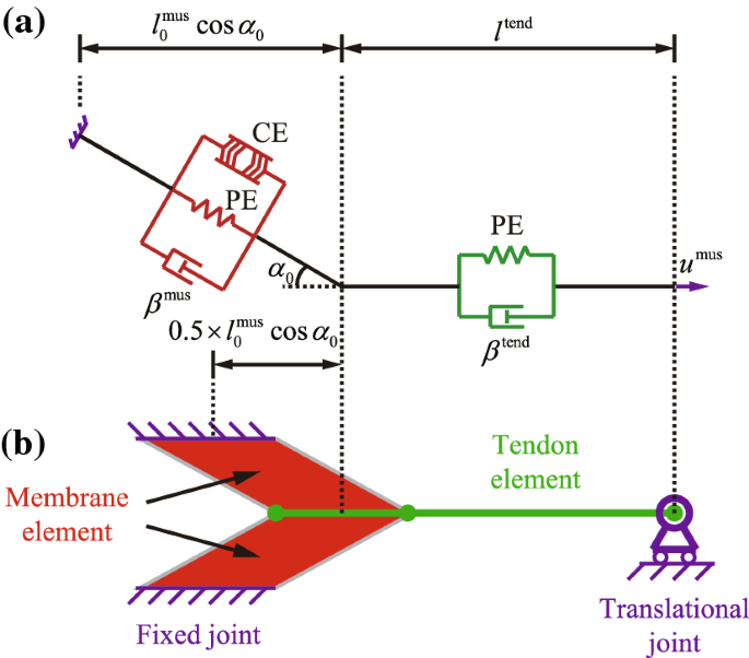 figure 18