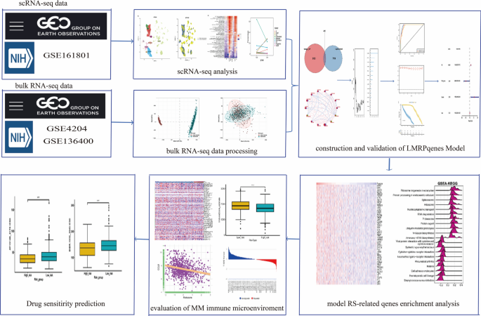 in the experimental and control group