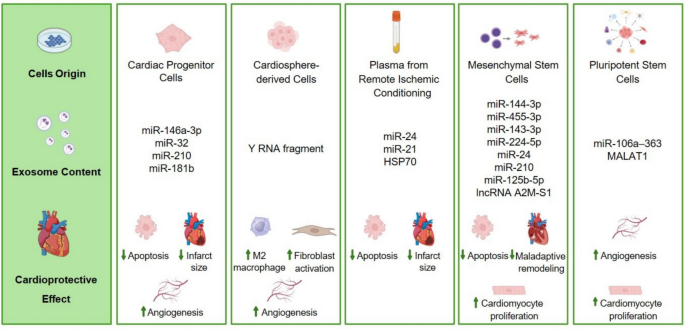 Extracellular vesicles in cardiac surgery: unlocking new frontiers in ...