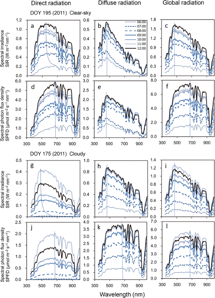 Why Is Chlorophyll B Only Used In Light Harvesting Systems Springerlink