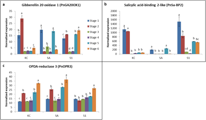 Hormonal and transcriptional analyses of fruit development and