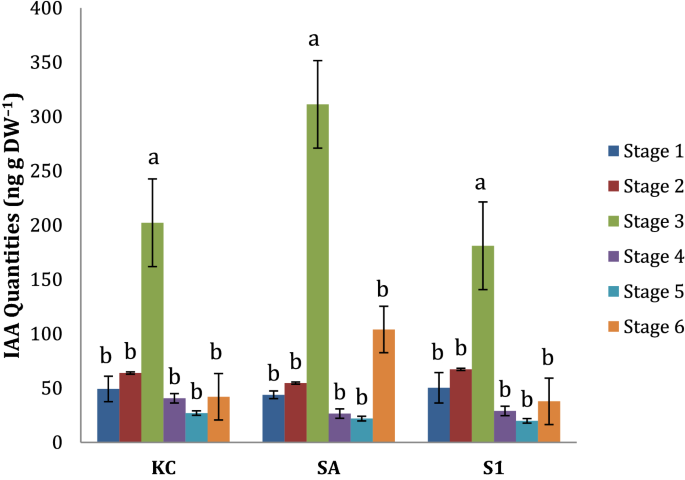 Hormonal and transcriptional analyses of fruit development and 
