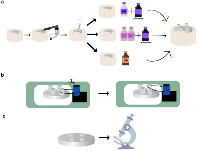 Impact of repair protocols on the bond strength to composite resin