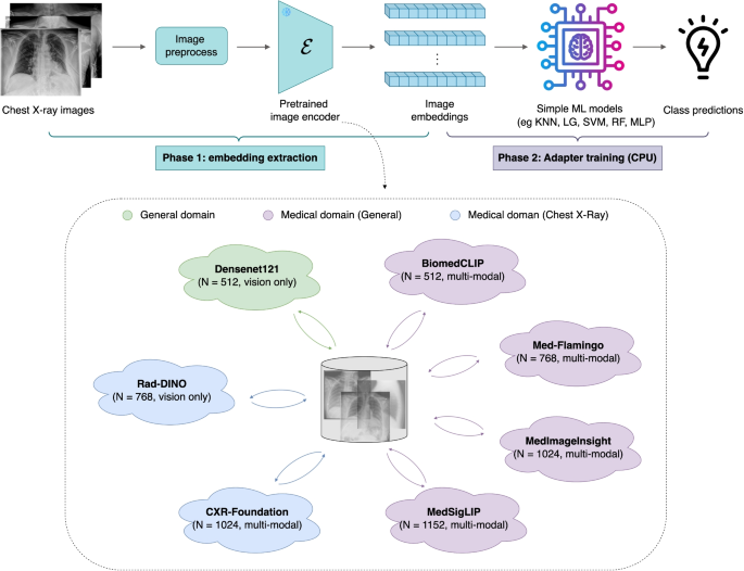 From Embeddings to Accuracy: Comparing Foundation Models for ...