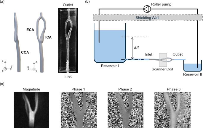 Uncertainty Quantification in Hemodynamic Metrics from 4D Flow MRI with ...
