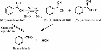 Enantioselective Biocatalytic Hydrolysis Of R S Mandelonitrile For Production Of R Mandelic Acid By A Newly Isolated Mutant Strain Springerlink Enantioselective Biocatalytic Hydrolysis Of R S Mandelonitrile For Production Of R Mandelic Acid By A Newly Isolated Mutant Strain Springerlink