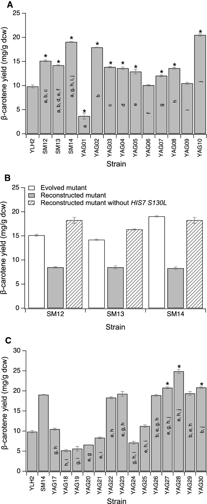 Beneficial Mutations For Carotenoid Production Identified From Laboratory Evolved Saccharomyces Cerevisiae Springerlink