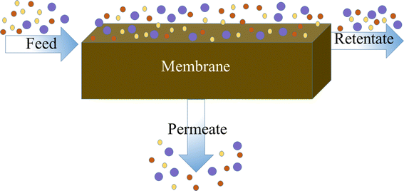5. Role of Membranes as Barriers in Water Treatment