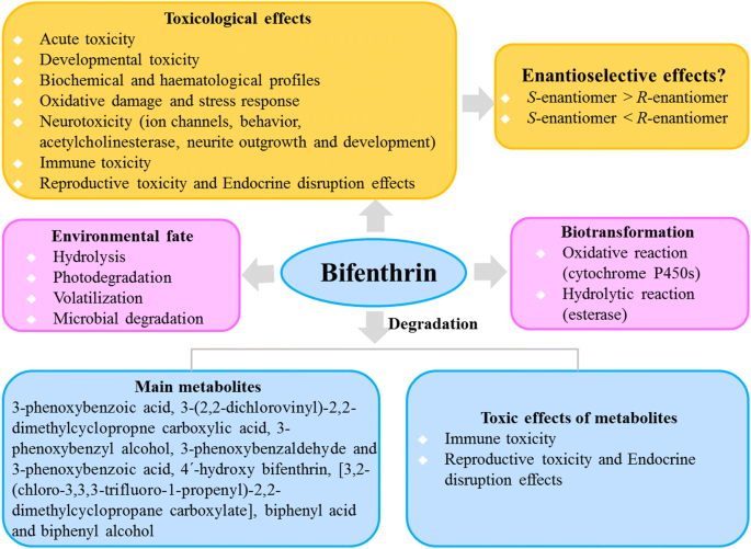 Toxicity Of The Pyrethroid Bifenthrin Insecticide Springerlink