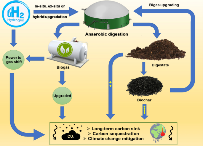Integration of biogas systems into a carbon zero and hydrogen economy: a  review | SpringerLink