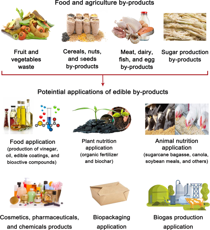 Recycling food and agriculture by-products to mitigate climate 