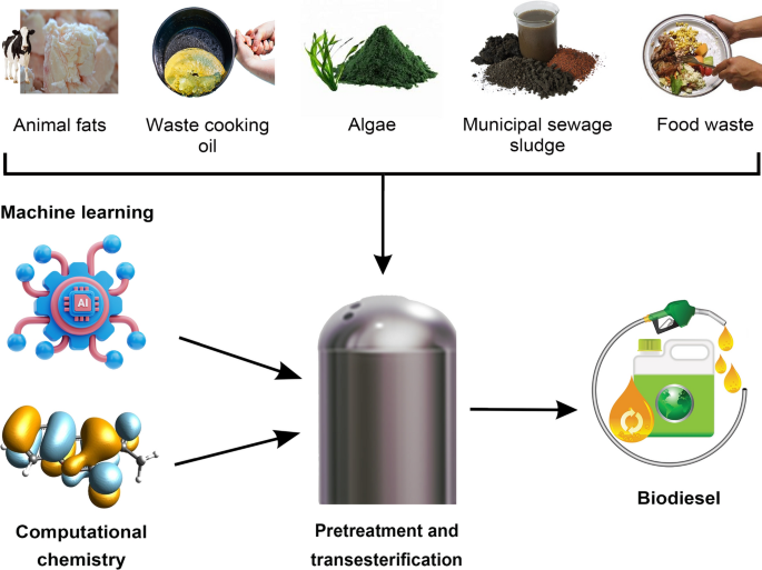 Optimizing biodiesel production from waste with computational 