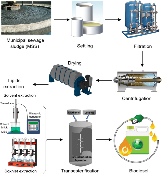 Optimizing biodiesel production from waste with computational 