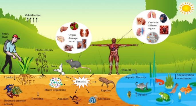 Herbicide risks to non-target species and the environment: A review |  Environmental Chemistry Letters | Springer Nature Link