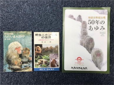 Hot Spring Bathing Of Wild Monkeys In Shiga Heights Origin And Propagation Of A Cultural Behavior Springerlink Hot Spring Bathing Of Wild Monkeys In Shiga Heights Origin And Propagation Of A Cultural Behavior Springerlink