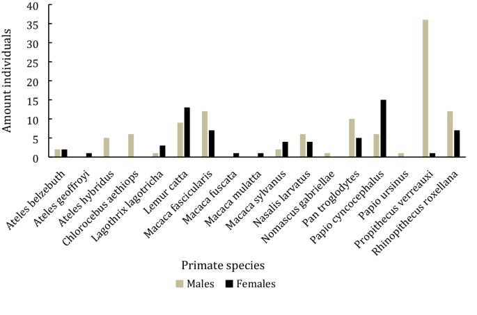 wildlife materials tracking collars