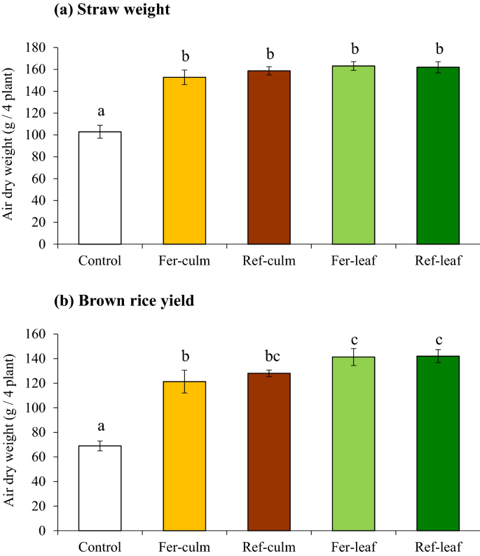 Effectiveness Of Ground Bamboo Mulching In Suppressing Weeds And Enhancing Rice Production A Microcosm Experiment Springerlink