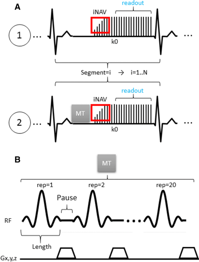 Contrast-free high-resolution 3D magnetization transfer imaging for  simultaneous myocardial scar and cardiac vein visualization | SpringerLink