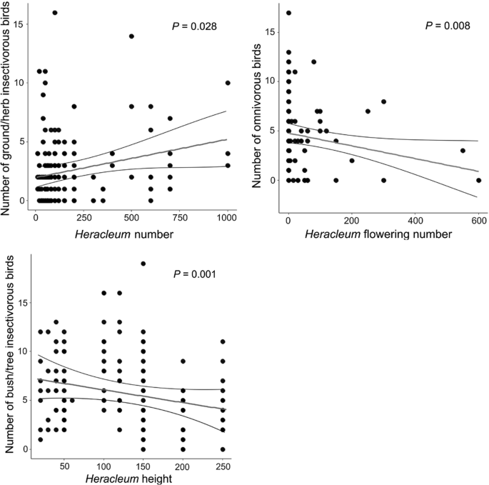 The Impact Of Sosnowsky S Hogweed On Feeding Guilds Of Birds Springerlink The Impact Of Sosnowsky S Hogweed On Feeding Guilds Of Birds Springerlink