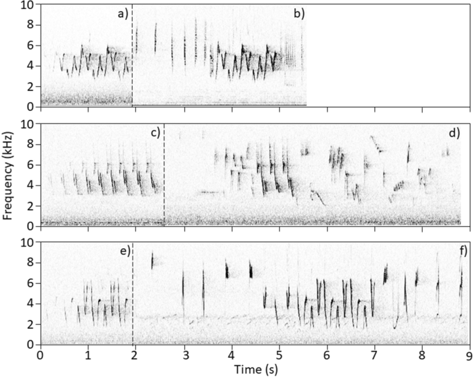 Hitting all the notes: Connecticut warblers sing an extended song type |  SpringerLink