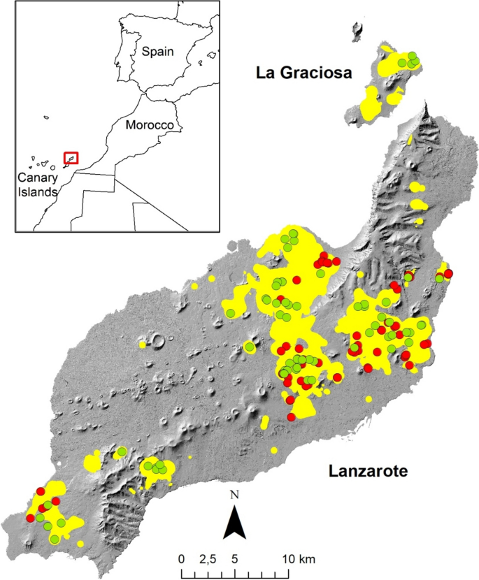 Nestsite and broodrearing habitat selection in Canarian houbara