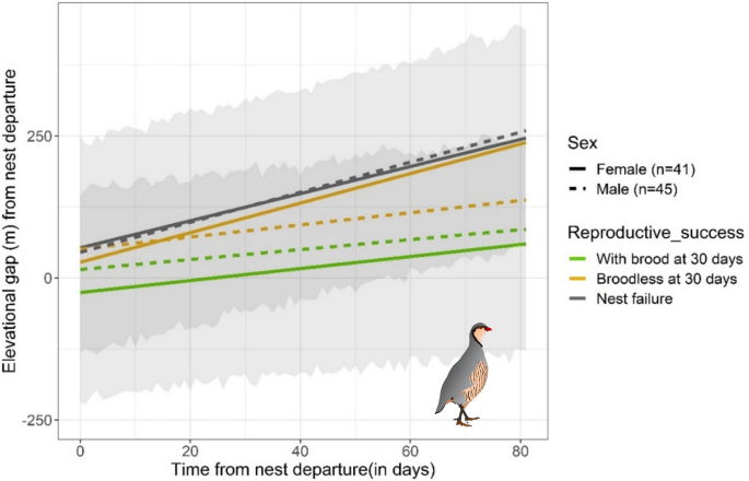 Bird Nesting Success Rates: Proven Tips to Boost Survival