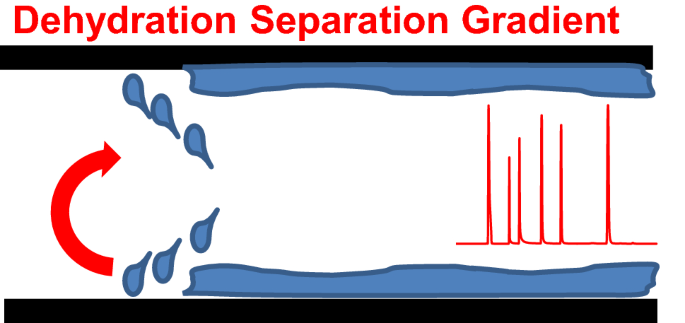 水固定相的脱水作为毛细管超临界流体色谱中的新型分离梯度 Chromatographia X Mol