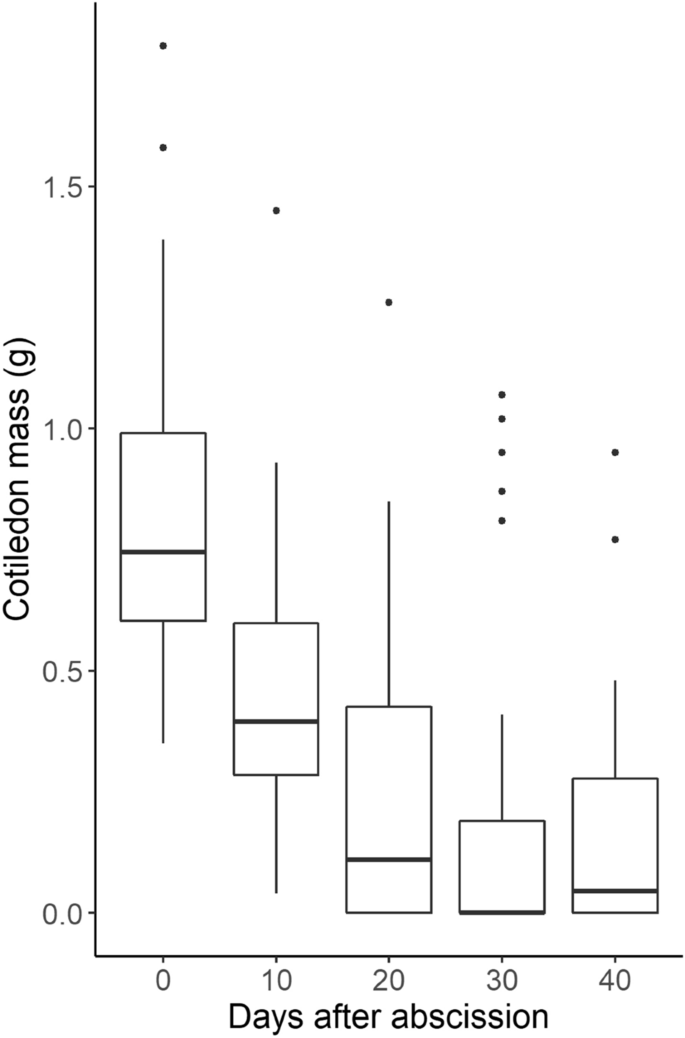 Intraguild Predation Of Weevils By Livestock Reduces Acorn Pests In Oak Silvopastoral Systems Springerlink