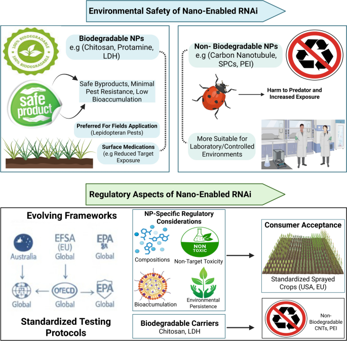 Nano-enabled RNA interference: emerging trends in the sustainable management of lepidopteran pests | Journal of Pest Science
