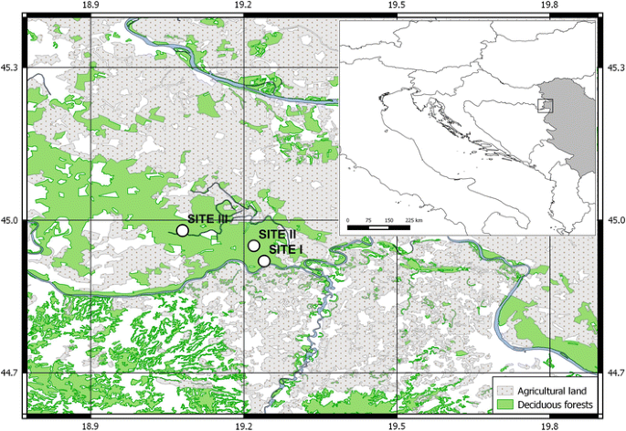 Forests in Vojvodina (Orlovic et al., 2005).