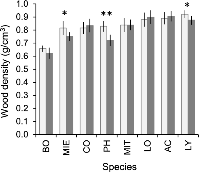 Wood Density Deposits And Mineral Inclusions Of Successional Tropical Dry Forest Species Springerlink