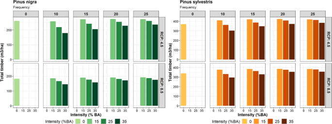 Modelling the influence of thinning intensity and frequency on the future  provision of ecosystem services in Mediterranean mountain pine forests |  European Journal of Forest Research