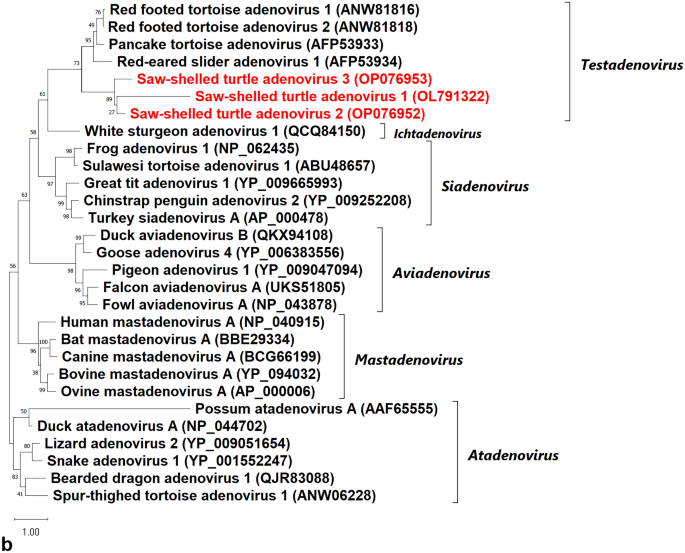 https://media.springernature.com/lw685/springer-static/image/art%3A10.1007%2Fs10344-023-01714-x/MediaObjects/10344_2023_1714_Fig2b_HTML.png