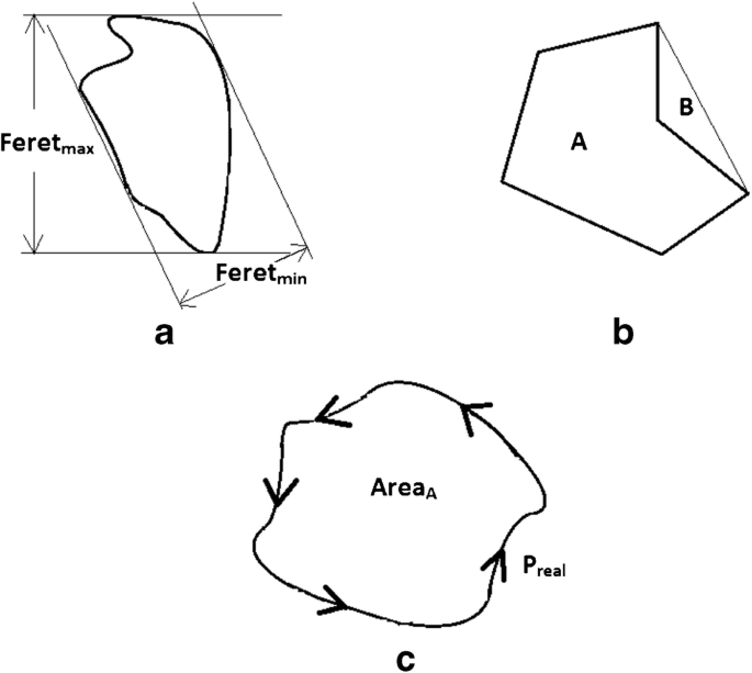 Morphometric signature of sediment particles reveals the source 