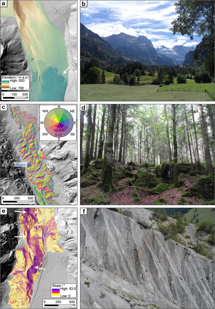 The Kandersteg rock avalanche (Switzerland): integrated analysis of a late  Holocene catastrophic event | SpringerLink