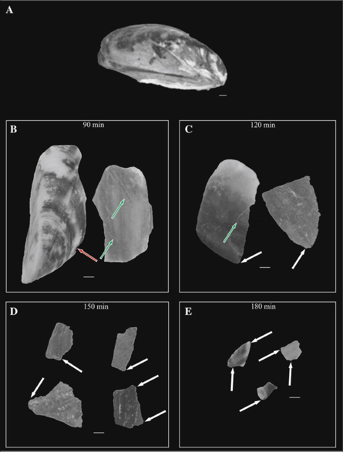 figure 19