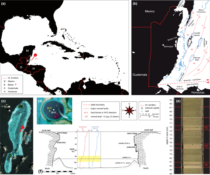 Holocene Sediments Of An Inundated Sinkhole Facies Analysis Of The Great Blue Hole Lighthouse Reef Belize Springerlink